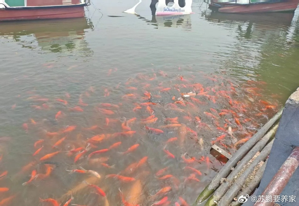 a股目前这一轮牛市，不是全面牛市，可能以后也不会有了！分化结构性牛市，必须是产业