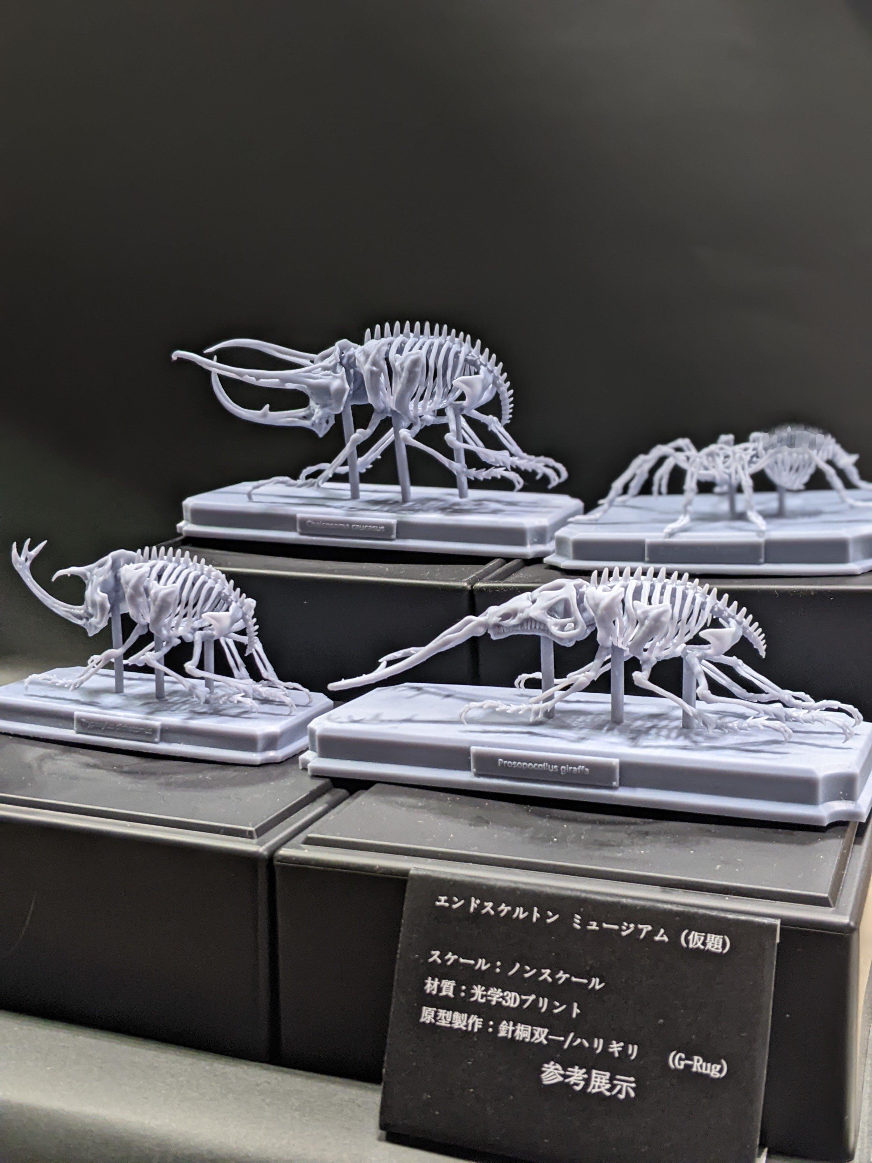 人家怎么可能不知道虫子没有脊椎……​​​