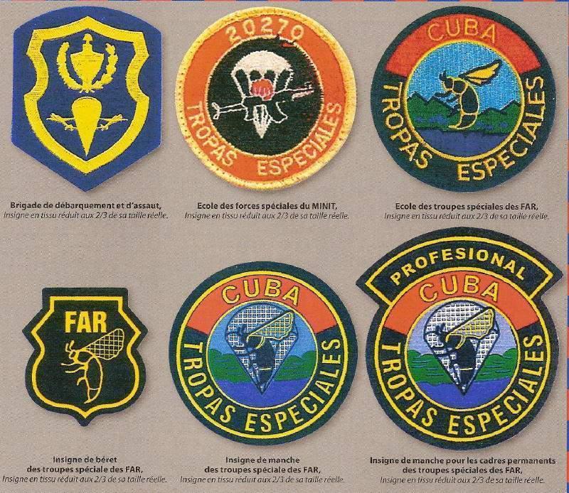 古巴黑黄蜂特种部队，于1986年12月1日正式成立。正式成立以前已经有特种部队