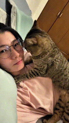 看这个视频，真是给人看得心里暖暖的。你瞅瞅这只小狸花猫，跟女主人亲得不得了，是真