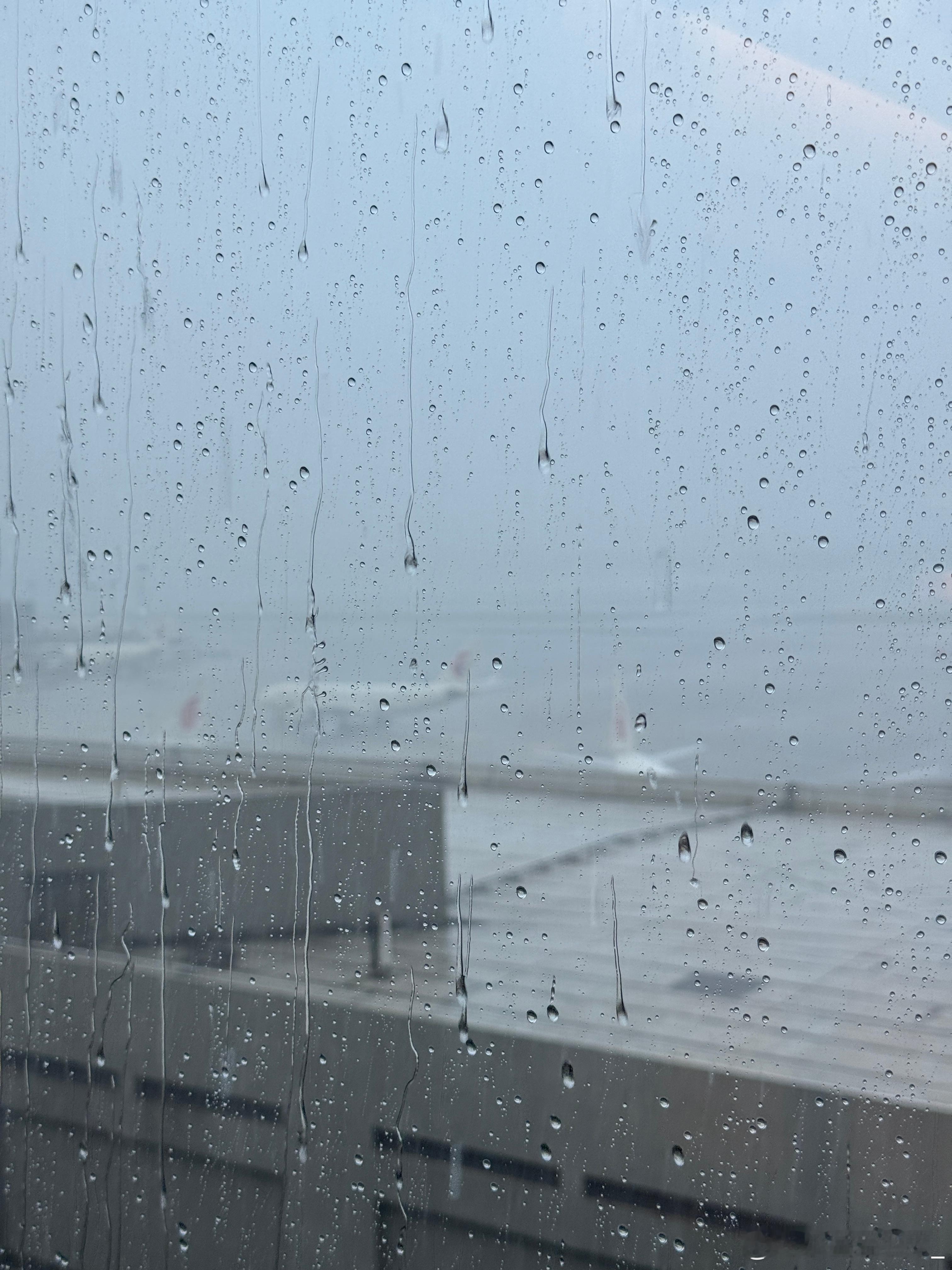 我赶上了，飞机都延误了。[捂脸哭]上海暴雨​​​