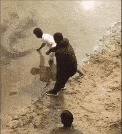 拽鲨鱼尾巴，无异于摸老虎屁股。有时候勇气来源于无知。