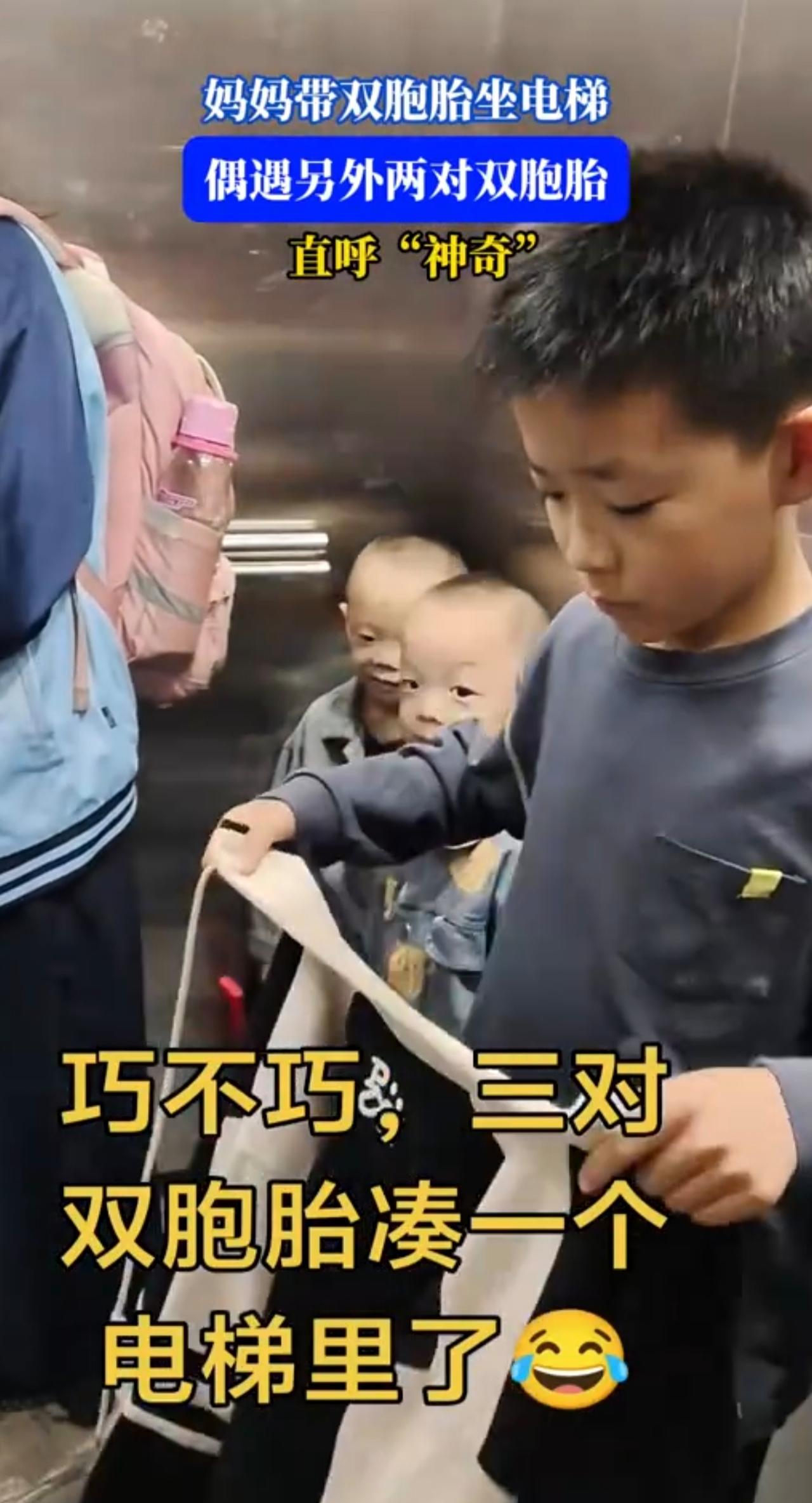 妈妈带双胞胎坐电梯，偶遇另外两对双胞胎，直呼“神奇”。
