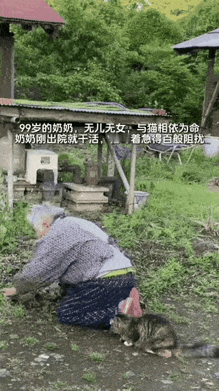 家人们，今天看到一个超感人的事儿！99岁无儿无女的老奶奶收养了
