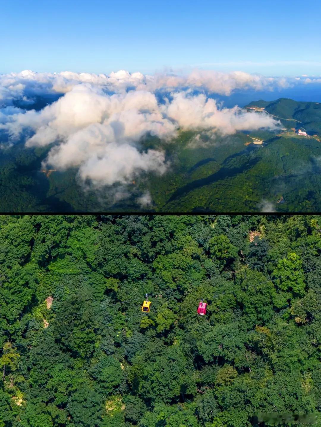盛夏追光之旅微博旅行ing汉中的夏天把清凉藏在了森林峡谷与湖泊之间，踏入葱郁山林