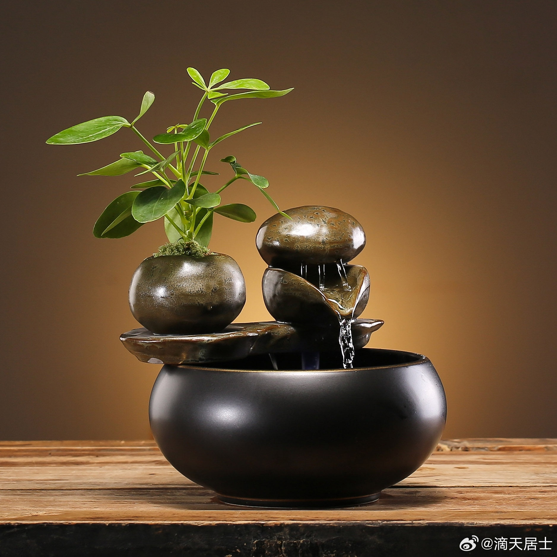 洞察力强的生肖；生肖鼠，尤其是农历10月的生肖鼠，属于做事情有观察力，用在生意场
