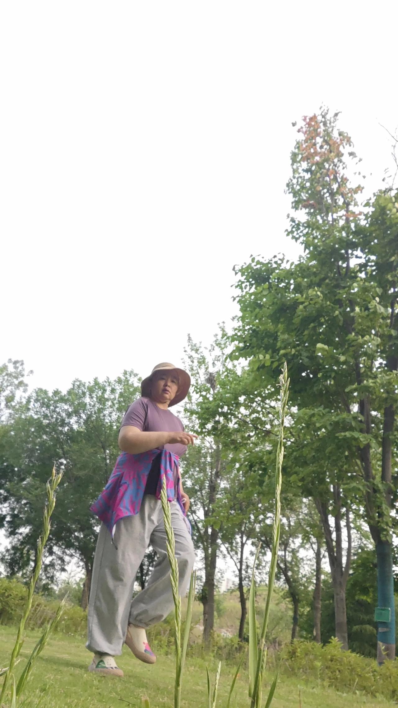 六十岁以后，你每天坚持做这几件事，你的身体会越来越好。一、每天早睡早起，不