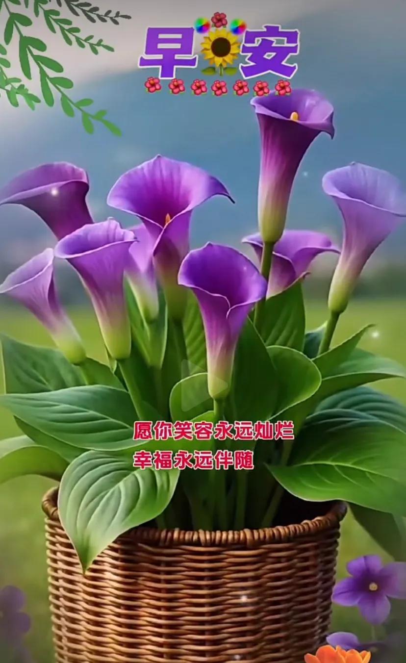 七月第一天，吉祥如意，告别六月，迎来七月！