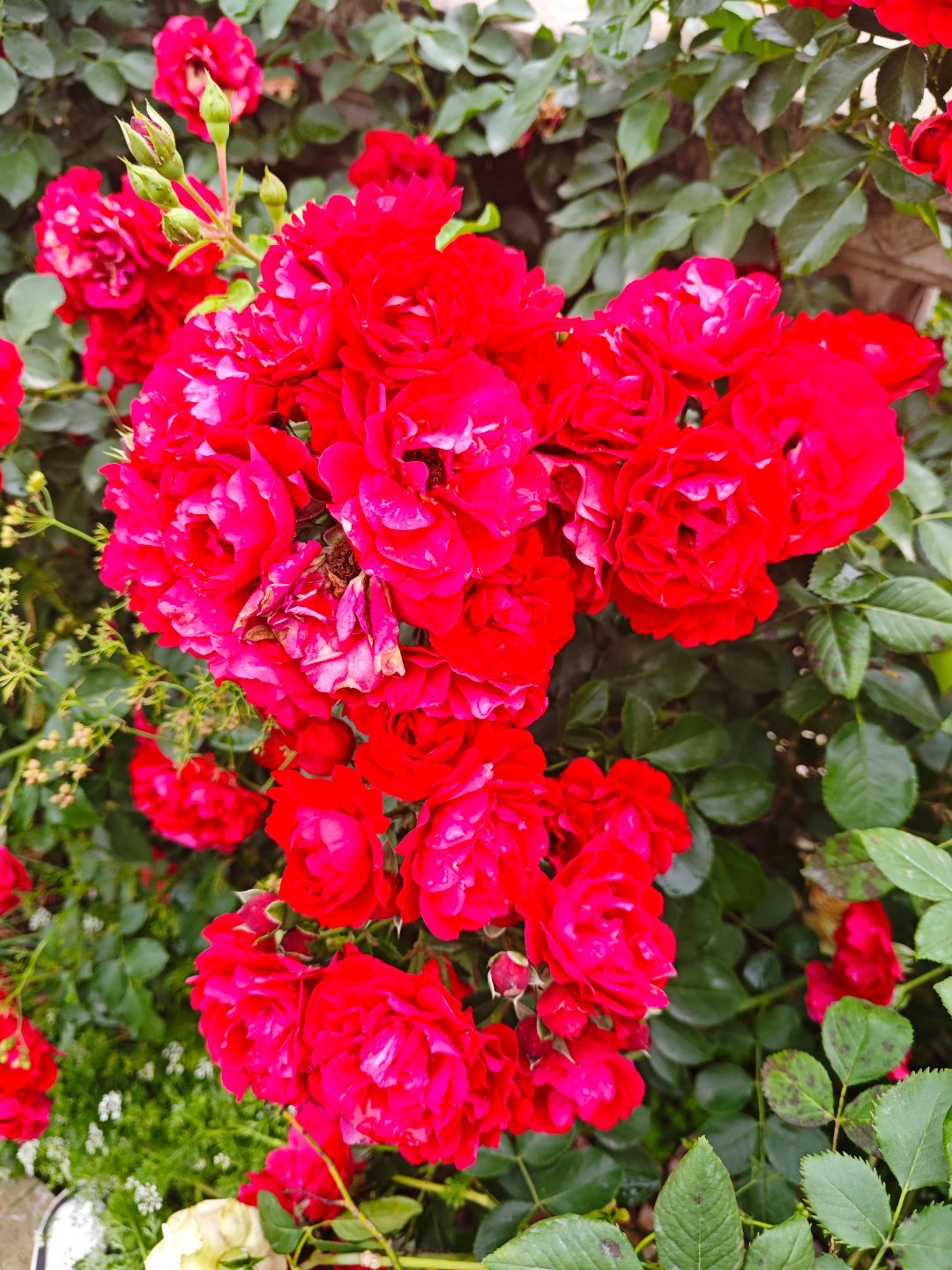 请放弃吃苦模式远离受苦地方以玩家心态的方式去重启人生中年人请允许自己毫无负罪感地