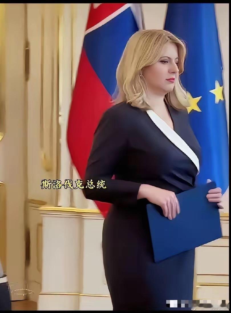 这应该是目前世界上最美的女总统了。上天真的太宠爱她，她不但拥有世界上所有女人想要