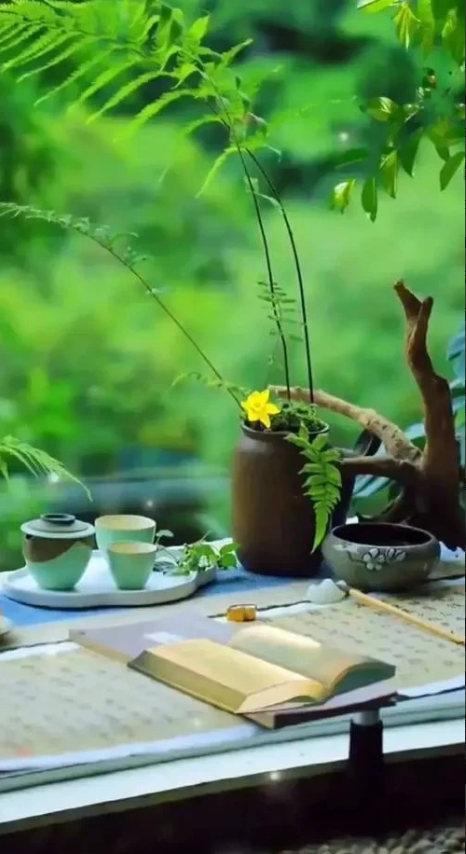 家里一箱手撕面包过期了，我拿着准备扔垃圾桶，一位正翻垃圾桶捡纸壳子的大姨拦住我说