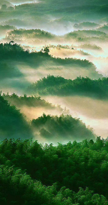 “长寿的八个方法：”1、戒烟。——想长寿，先把烟停了。烟不是习惯，是在一点点消耗