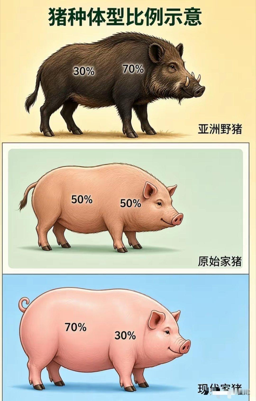 为什么会驯化成这种？