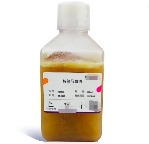 每天一条冷知识马血可以用来制作抗蛇毒血清，理论上，我们也可以从鼠、兔子、羊甚至