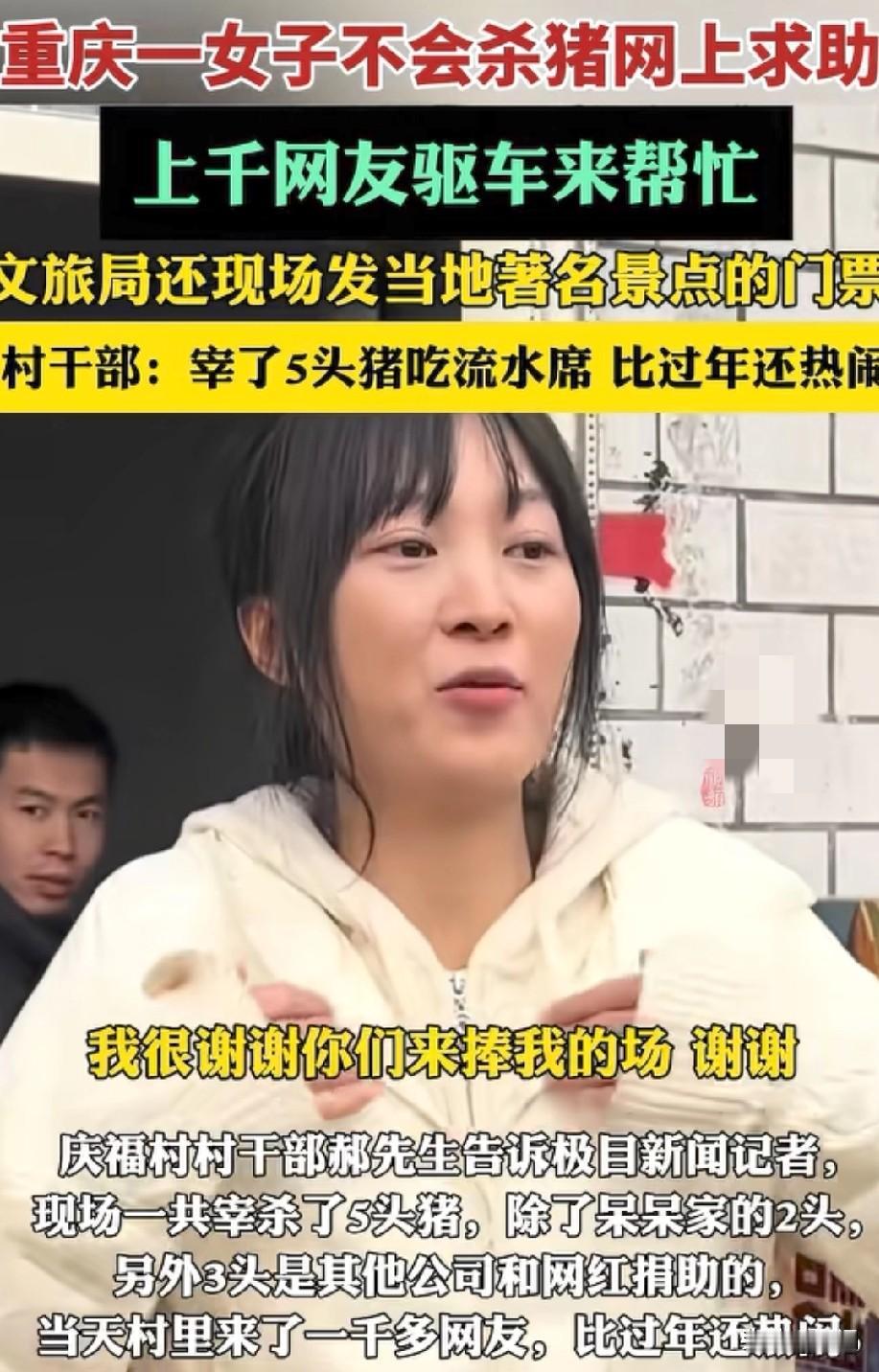 重庆一女子不会杀猪网上求助！“闯大祸了”上千名网友开车来帮忙！村干部：“宰了