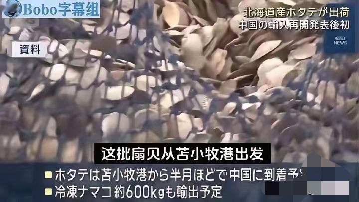 日媒高调宣布，6吨北海道扇贝已发往中国！最让人好奇的是，到底哪家公司敢在这个