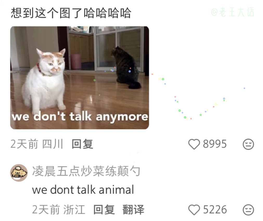 小猫吵架小猫和好