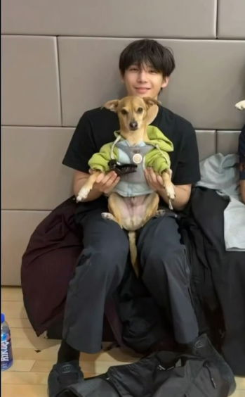 王安宇这张图里，抱着这只很萌的小狗，好温暖啊！​​​