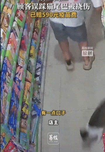 “讹人成功了？”江苏苏州，一男子穿着拖鞋逛超市时，没看到地上有猫，一脚踩在了猫的