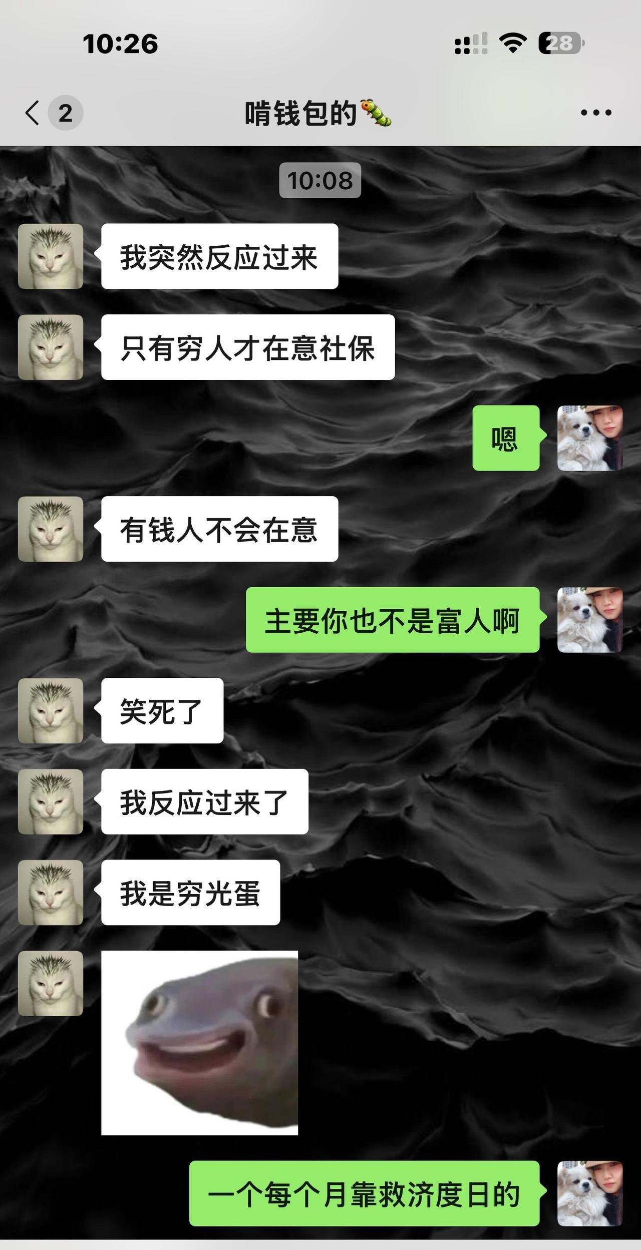 我养了一只好闺女，孝顺孩子。给她妈安排的明明白白滴。