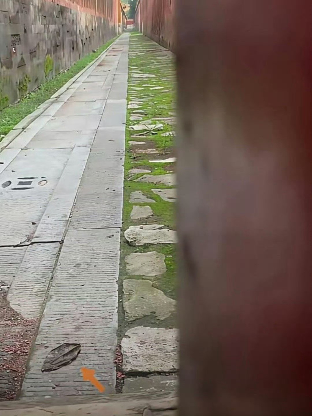 对外开放的叫故宫，上锁不让看的才是紫禁城​​​​