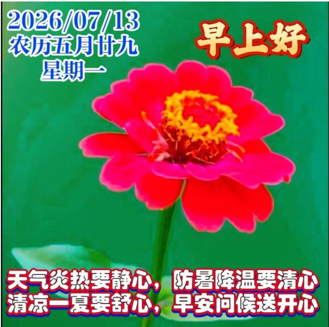 周一早安，吉祥如意；新的一天，新的朝阳；好运开启，遇见美好；收获满满，福寿