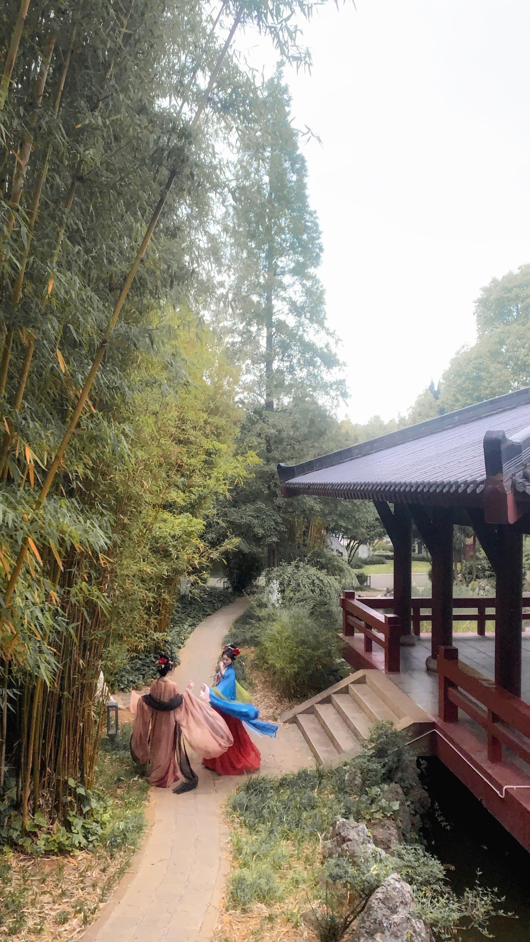 初见。