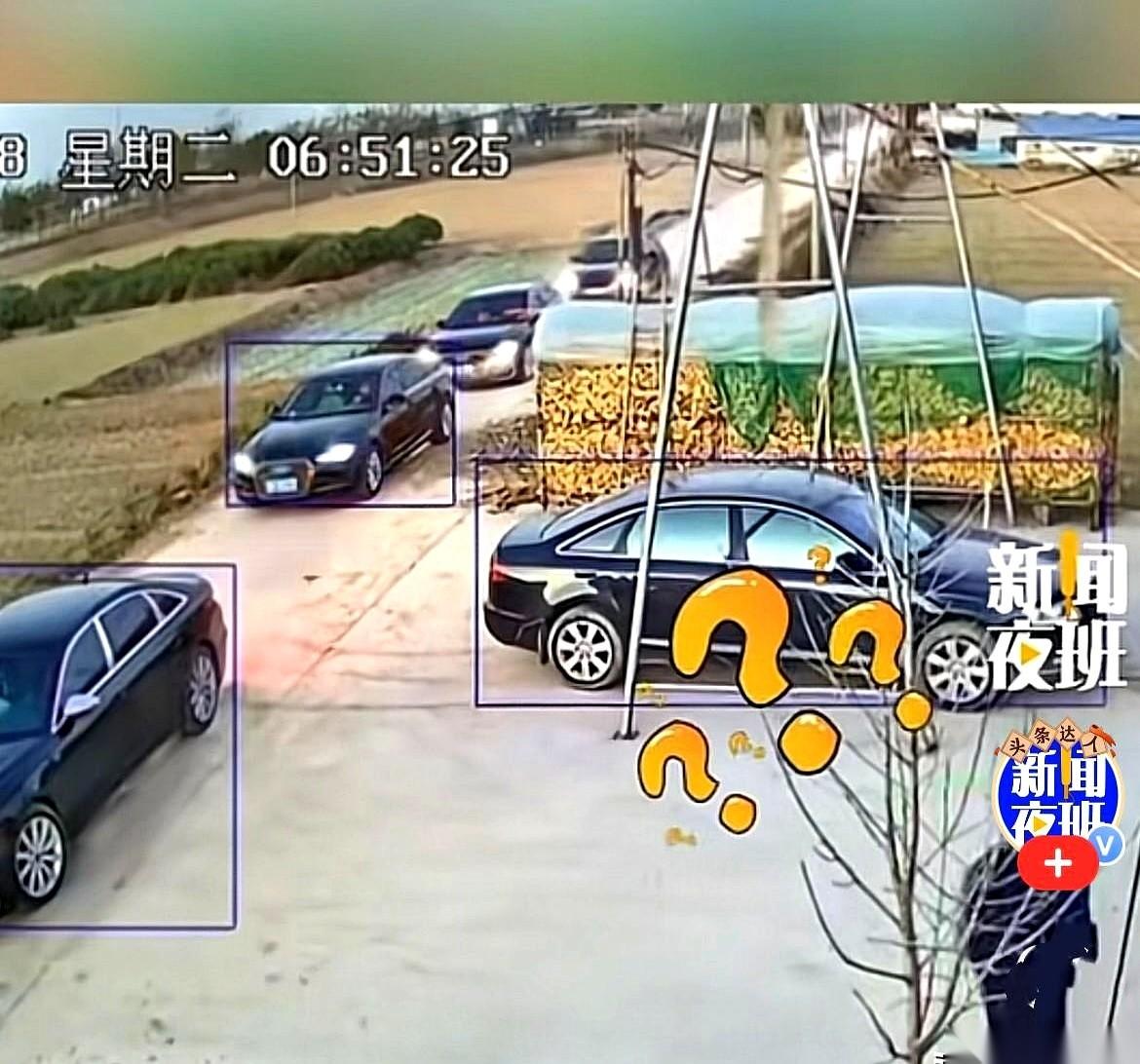 真的笑不活了家人们。一大早开着我的小奥迪去上班，路上居然碰到一整个奥迪婚车队。