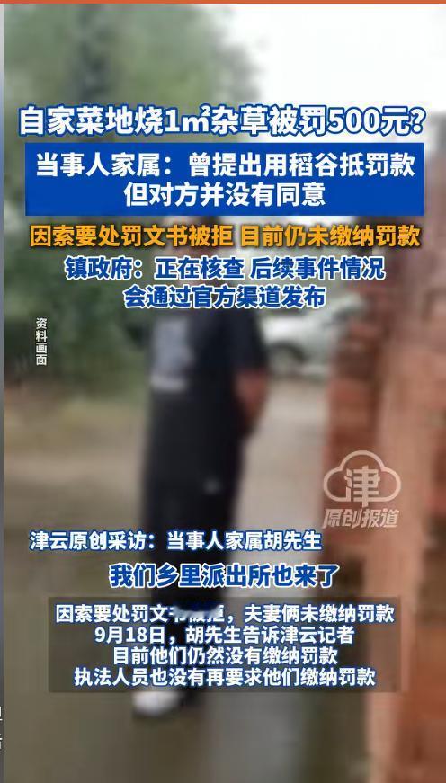 2026年9月16日，河南固始县方集镇的贺女士在自家菜地除草后，将大约1平方米的