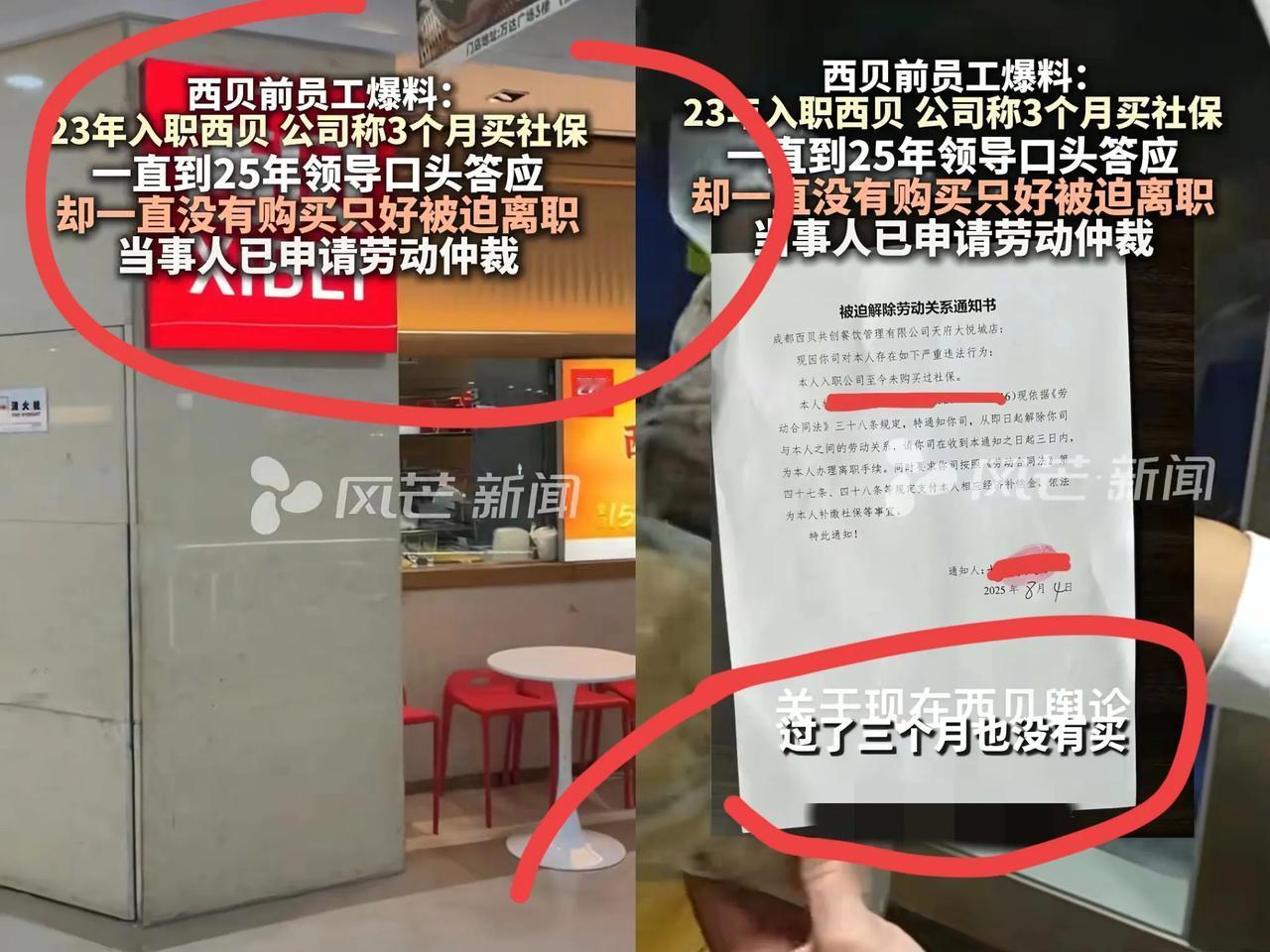 估计贾老板要失眠了，西贝可能真的要凉凉了！23年入职的前员工爆料：西贝当初