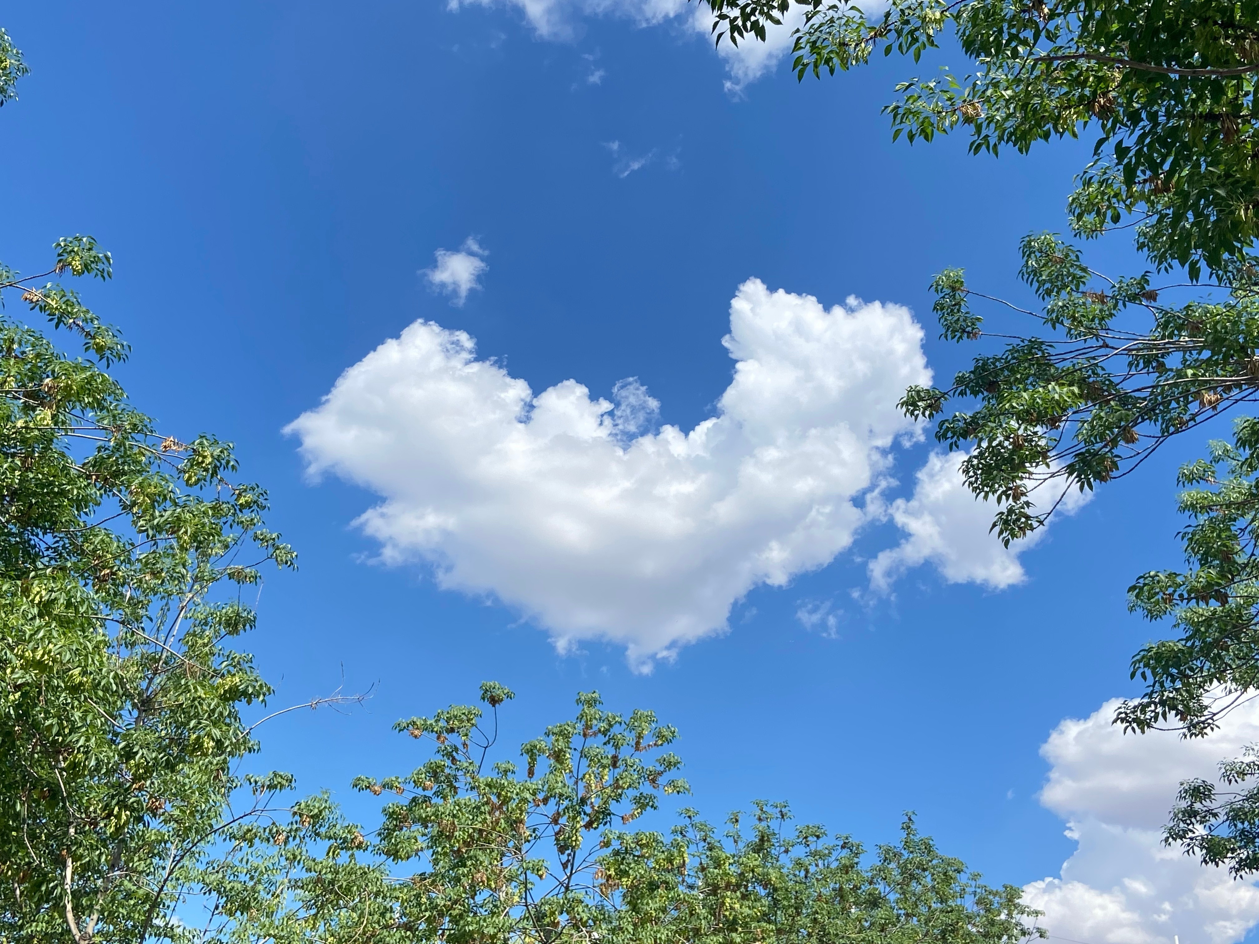 天空都是爱你的形状​​​