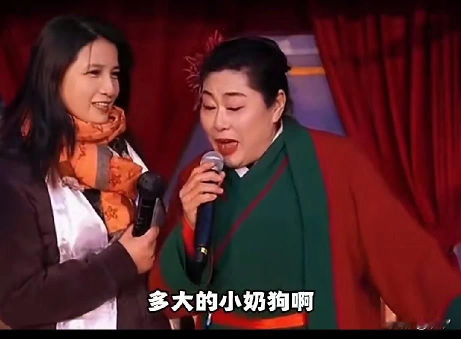 王婆相亲的婷姐火了，她一上台言语非常大胆，直接表明自己是来找小奶狗的，这让