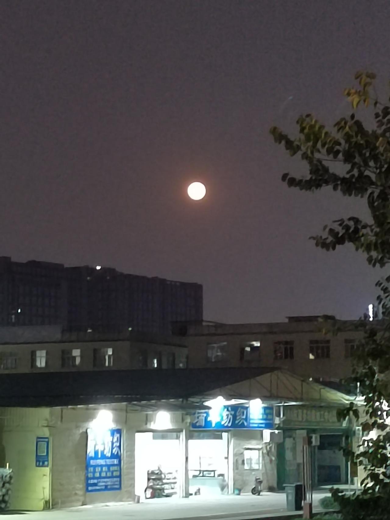 炒股，本质就是开一家属于自己的公司！不用工商税务，一部手机就能创业很多人炒