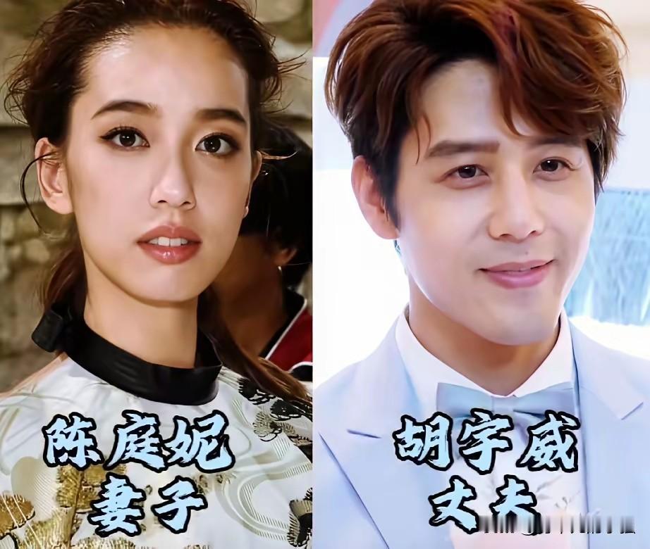 ​才貌相当的明星夫妻，始于颜值，忠于人品陈庭妮&胡宇威、钱琳琳&张译、何彦霓