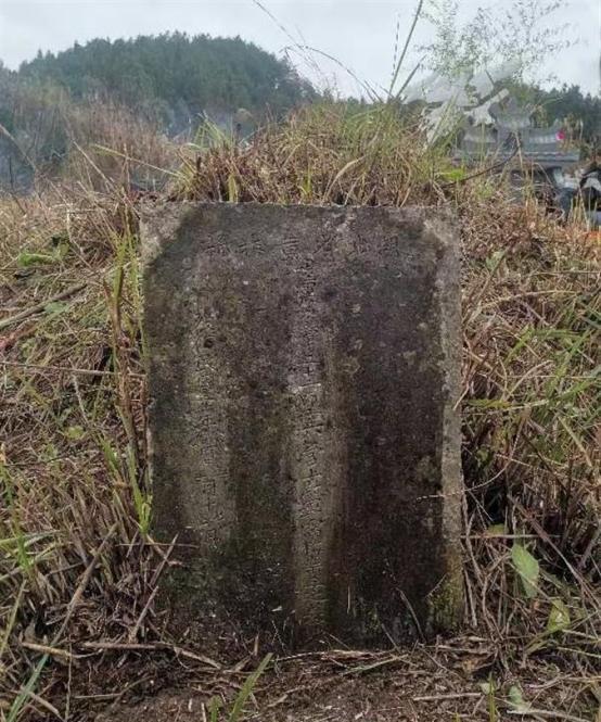 2022年3月13日，贵州凯里的雷女士在给母亲的墓地扫墓时，发现旁边有一个长满荒