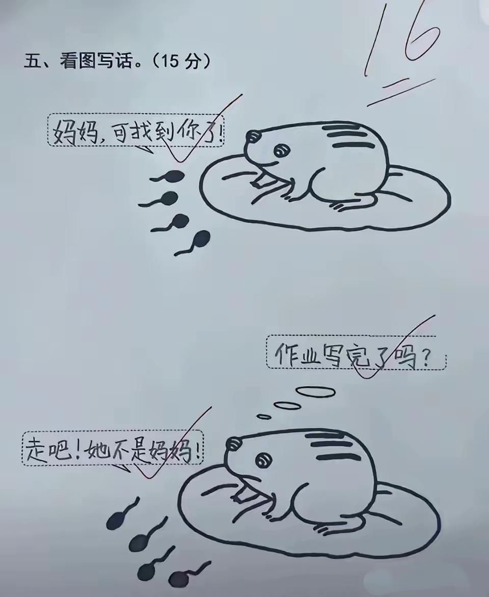 老师感动坏了，有这样的学生​网友评论：​叙事完整，语言清晰，书写规范，剧情合