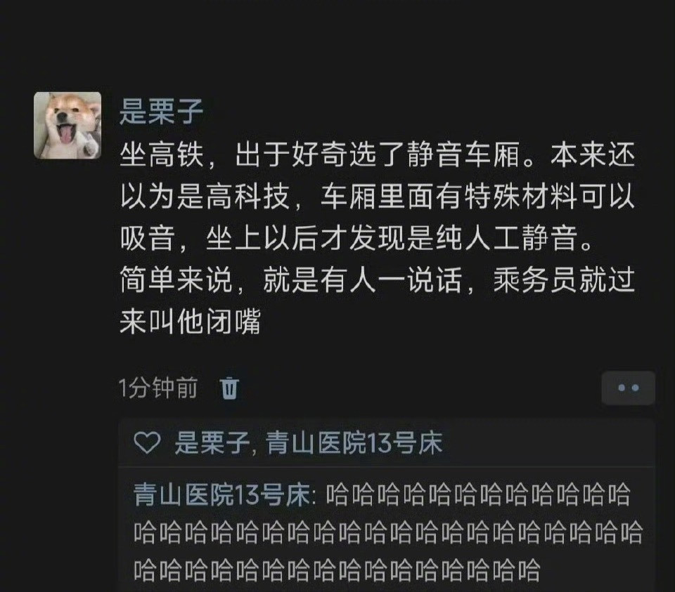 “坐高铁出于好奇选了静音车厢”​​​