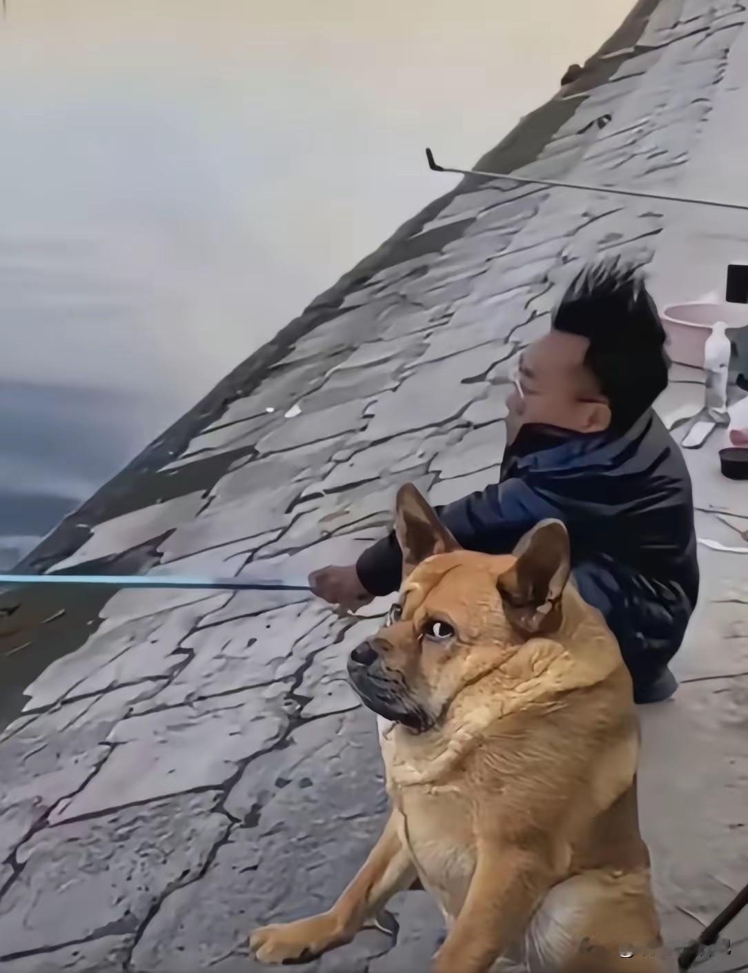 这狗子，一看就不好惹呀[呲牙笑]