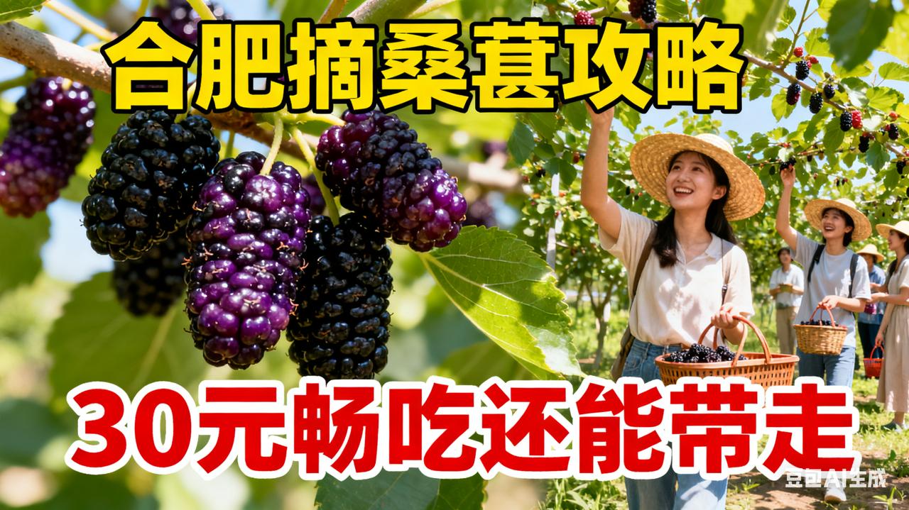 合肥摘桑葚地图曝光！酸甜黑果挂满枝，错过等一年！“去年跑遍合肥找桑葚，结果