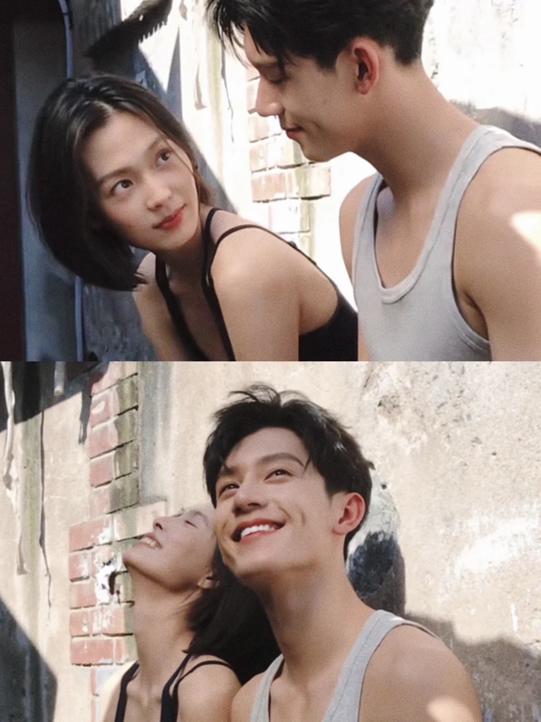 《树影迷宫》田畅到底藏着什么秘密？