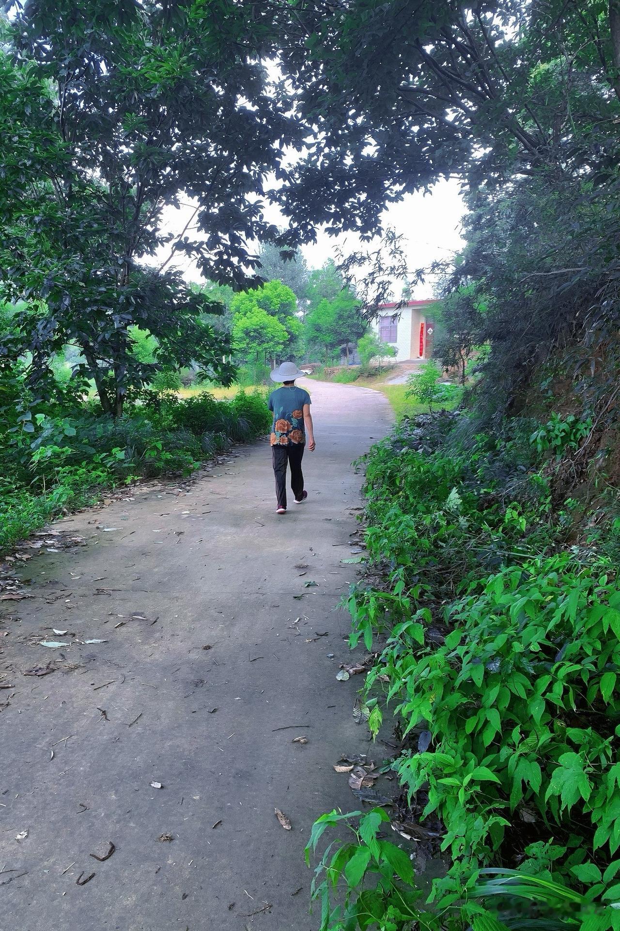 我真佩服我本家婶子，抗癌13年，从检查出肠癌到现在跟没病的一样，就是稍微清瘦一些