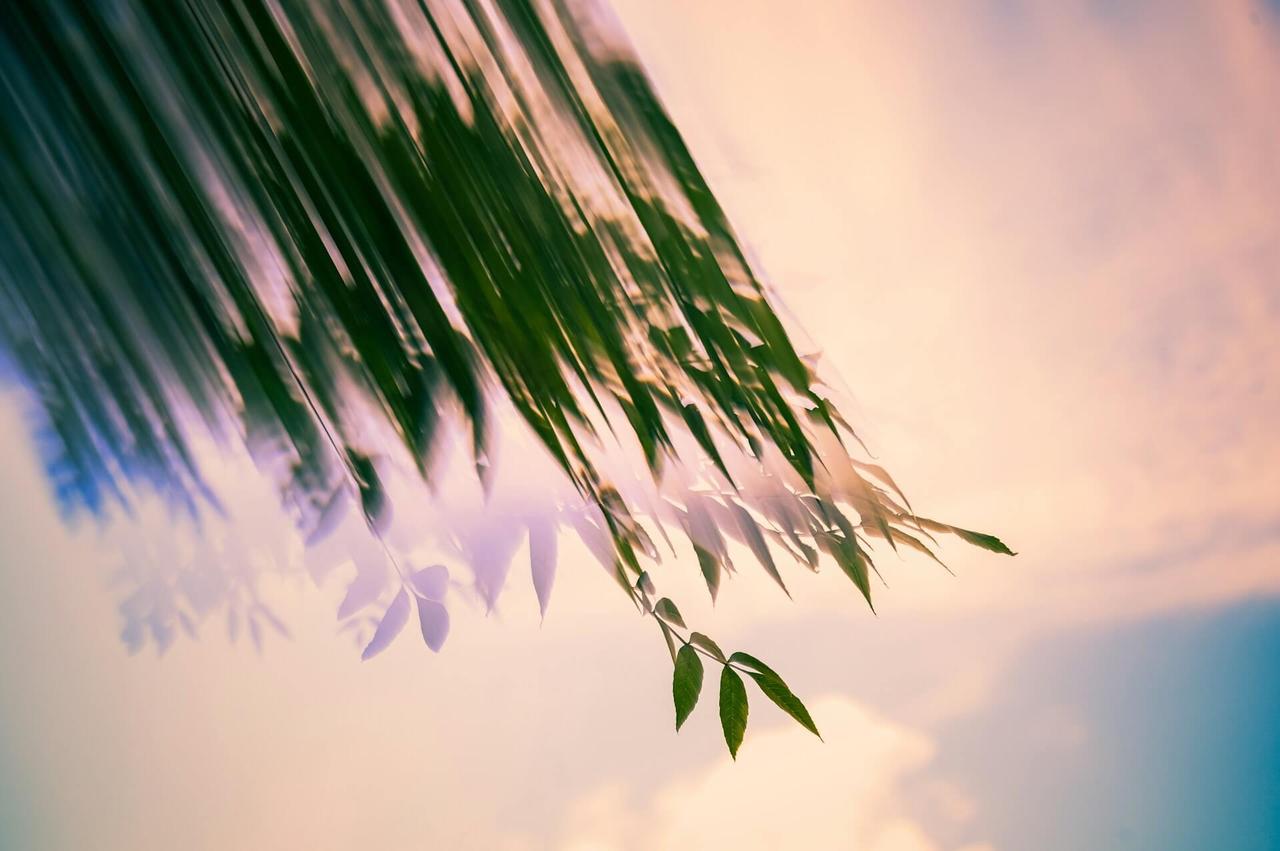 人的一生基本就这10样了：1、性生活：约2500~3000次 2、睡觉：约2