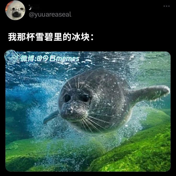 好清爽（yuuareaseal）今日meme今日memes​​​