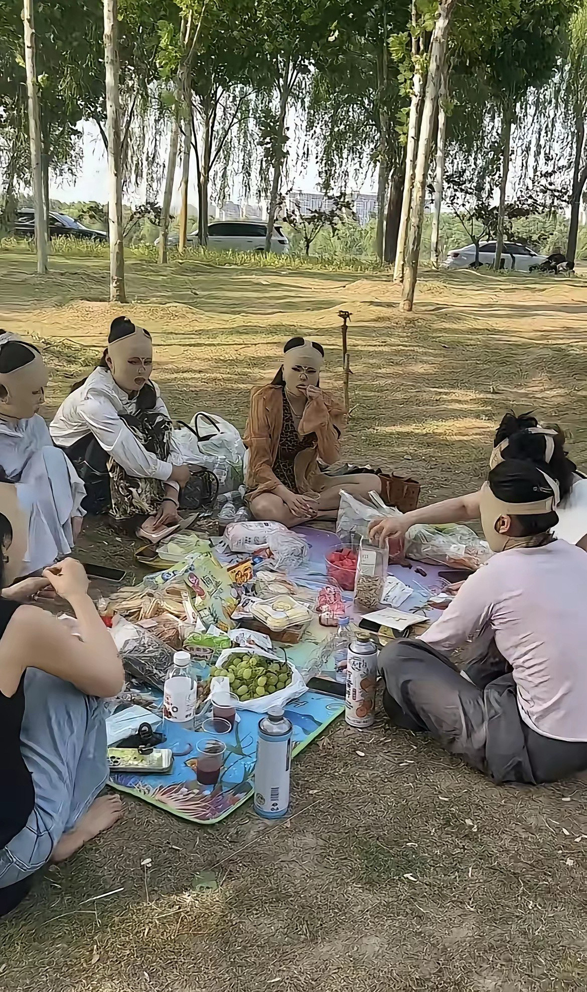 野餐有必要搞成这样吗？真是惊呆了。