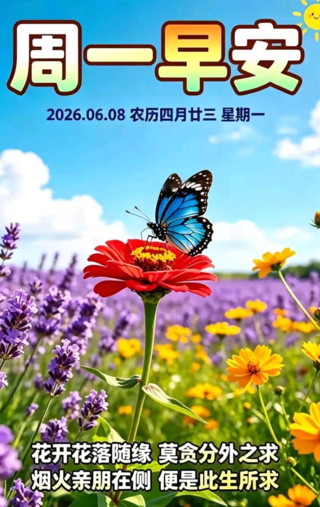 6月8日，星期一，早上好呀！告别周末的慵懒时光，揣着满心热爱，从容迎接崭新的一周