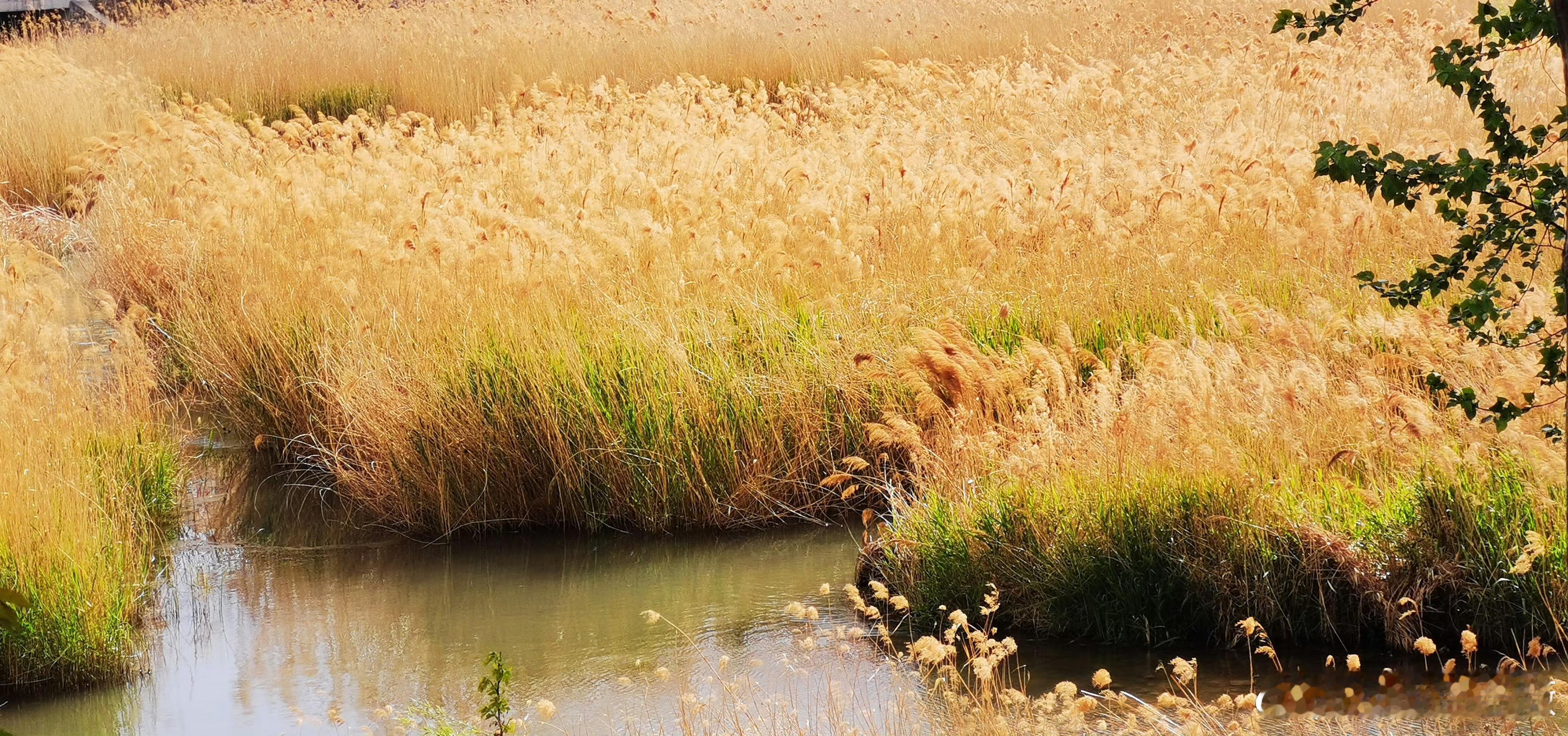 太急是一种很强的负能量⭐“急”常常被视作负面情绪，代表浮躁、焦虑与失控，却