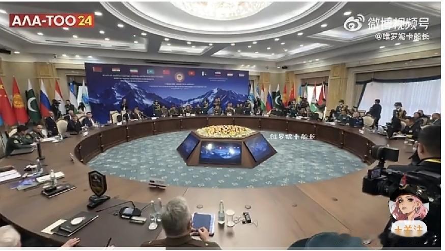 法新社的最新消息，当地时间4月28日，伊朗国防部发言人塔拉伊-尼克在上合组织国防