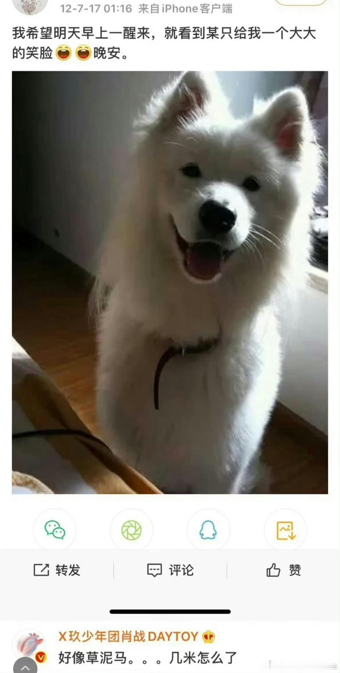 哈哈哈哈，恶童肖先