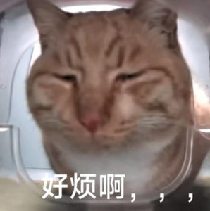 一个月给移动交100多块钱的话费，到头来走哪都没信号啊。最后告诉是我手机的问题因