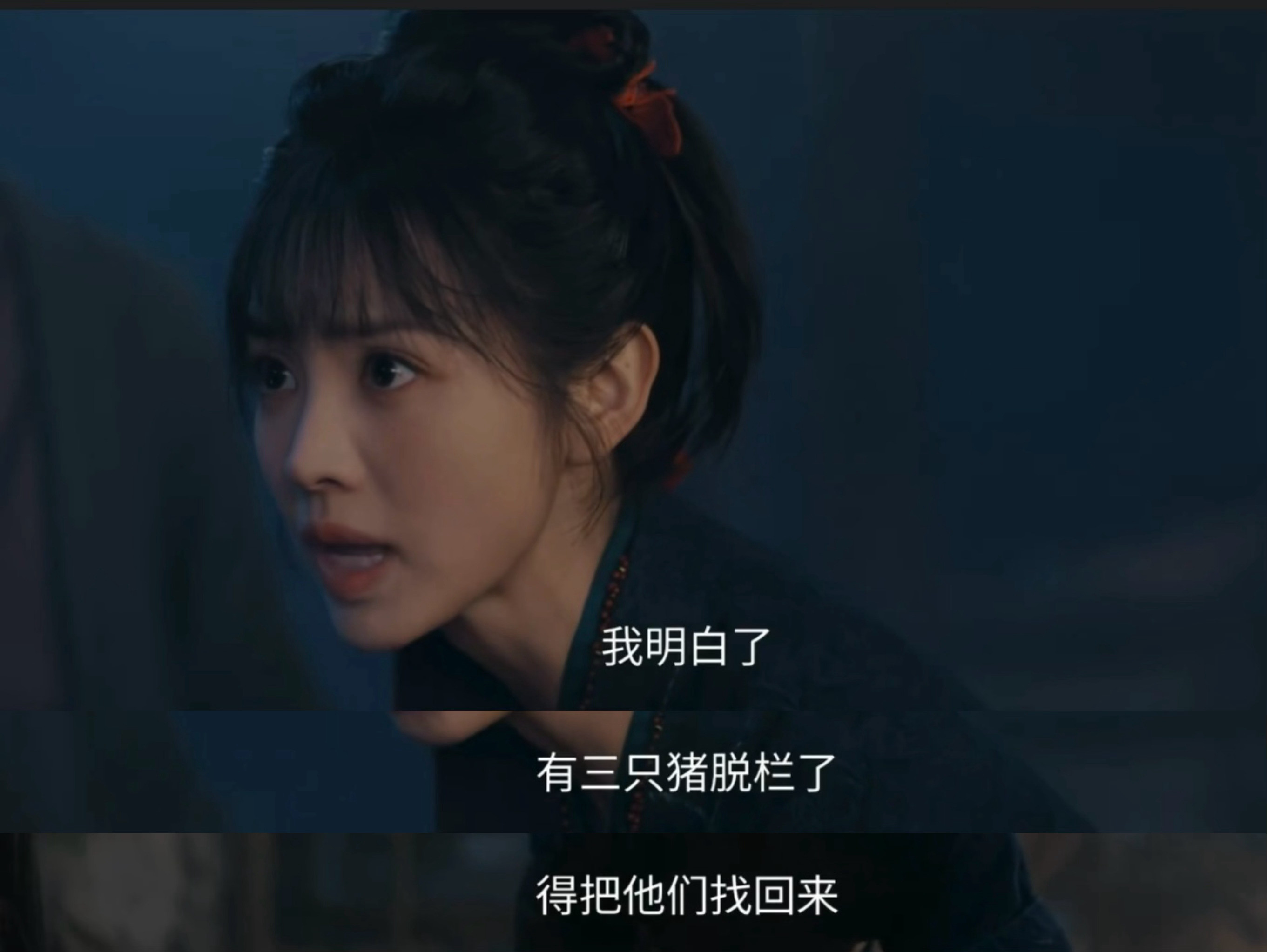 樊长玉超级会做阅读理解的好吗